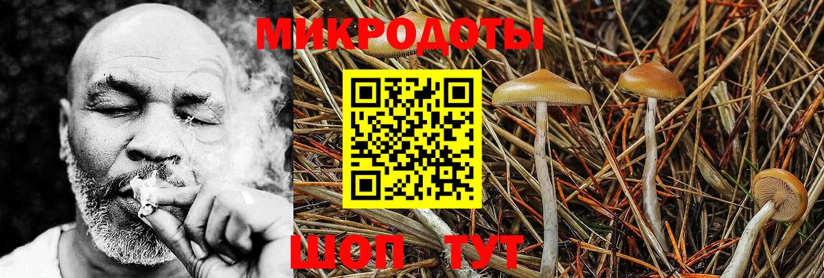 Псилоцибиновые грибы Cubensis  Псилоцибиновые грибы ЛСД  Вход с VPN  Ликино-Дулёво 